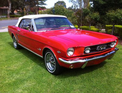 Adelaide Mustang