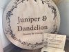 Juniper And Dandelion Flowers By Ashleigh