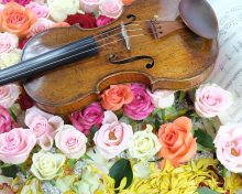 Musical Serenade Proposal – from $795