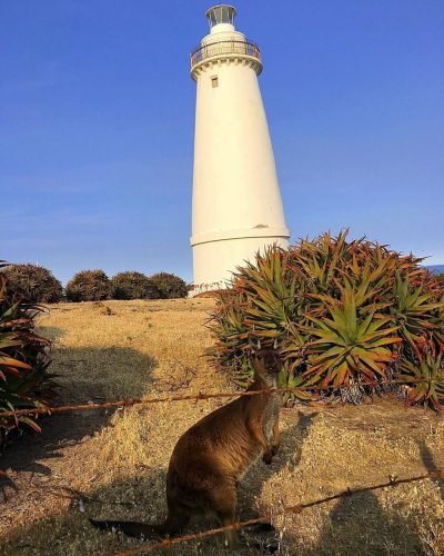 Cape Willoughby Lightstation – Kangaroo Island